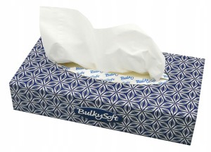 Chusteczki higieniczne bezzapachowe BulkySoft 2 warst. 100 szt.